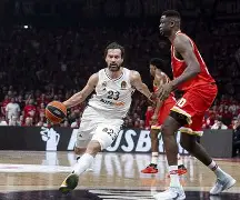 爱游戏体育app-加图索出任马赛主帅